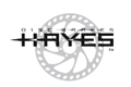 HAYES