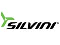 SILVINI