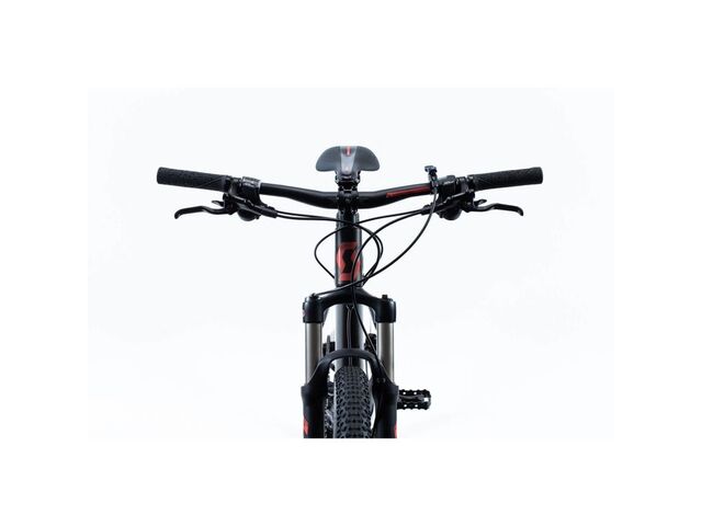 scott contessa scale 30 2019