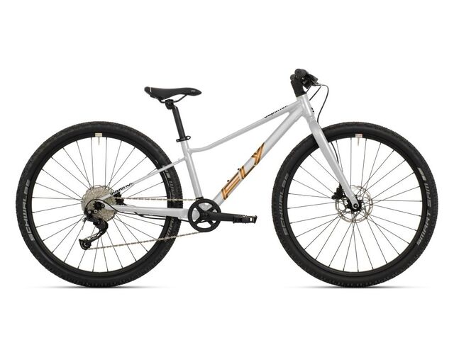 Dětské kolo SUPERIOR F.L.Y. 27 Matte Silver