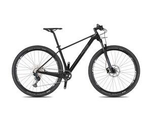 Horské kolo 4EVER INEXXIS TEAM 2022 carbon/metal stříbrná
