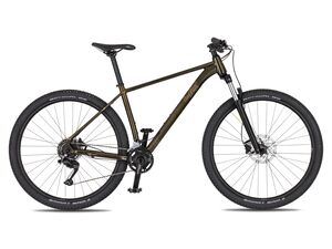 Horské kolo 4EVER FRONTBEE XCM gold galaxy 2026