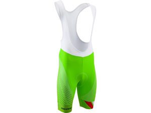 Pánské kalhoty SILVINI TEAM TOP MP1406 green
