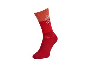 Ponožky SILVINI Ferugi UA1644 red