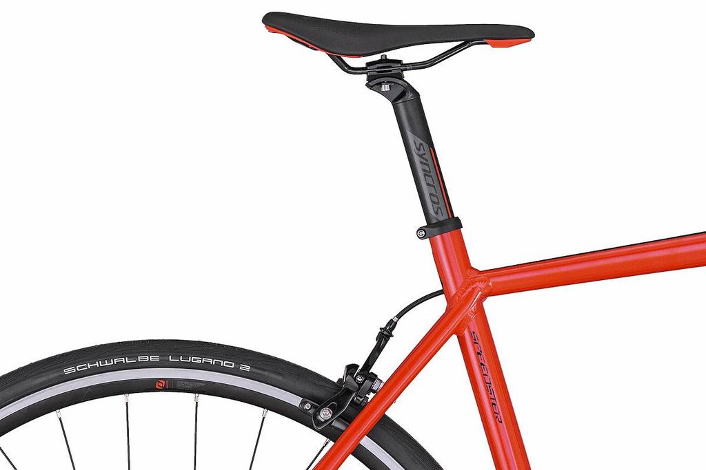 Speedster 30 2020 discount